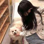 刀刀秒怒紫毒超变手游下载